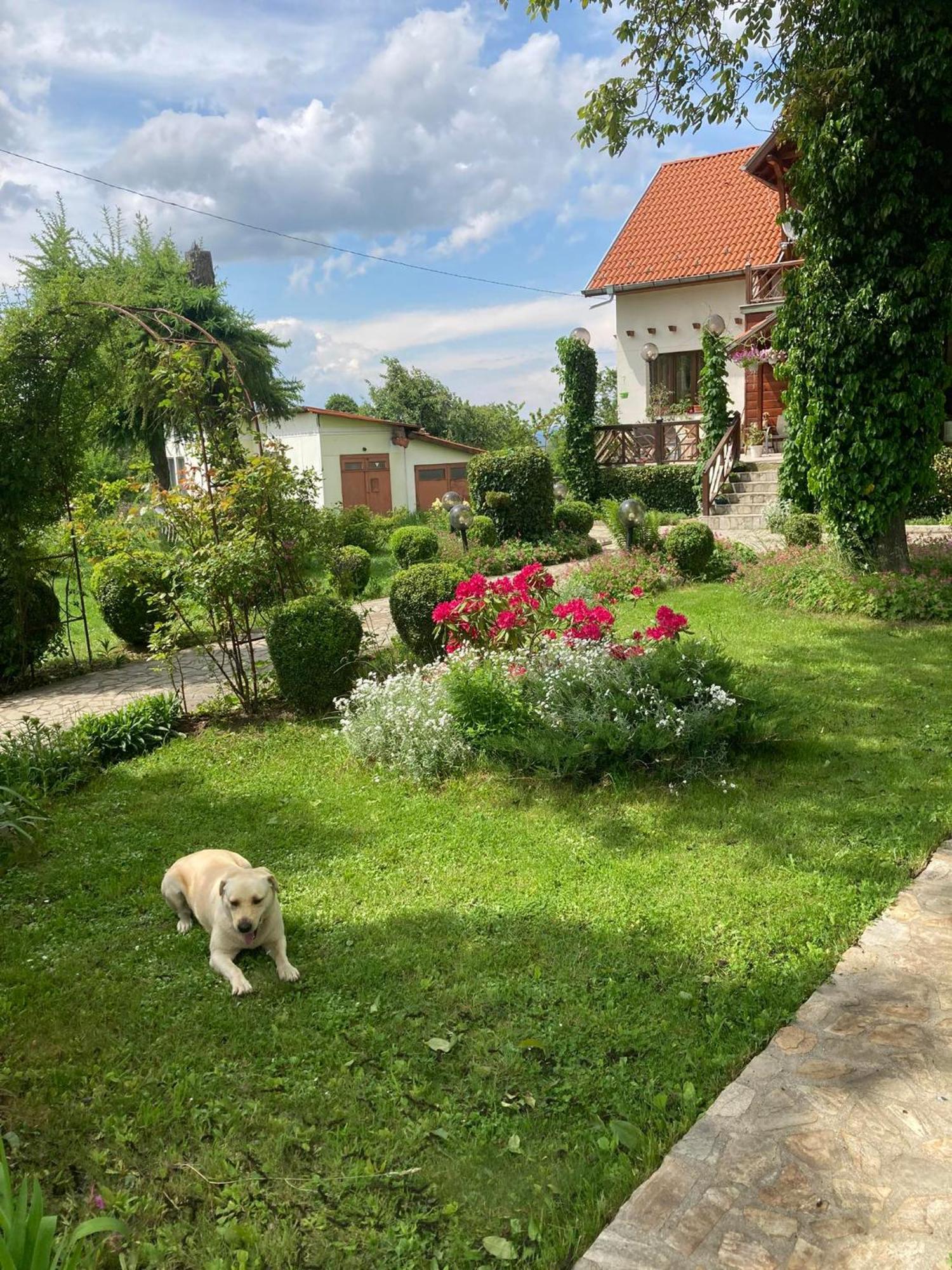 Orehite Guest House Samokow Exterior foto